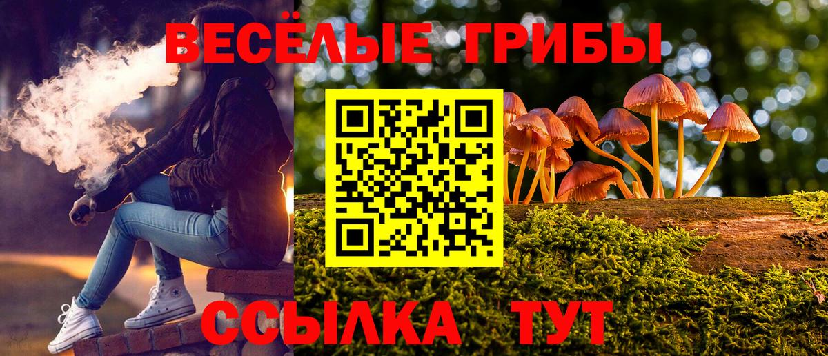 Галлюциногенные грибы мухоморы Саяногорск